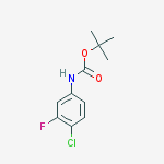 Structure of tert-butyl 4-chloro-3-fluorophenylcarbaMate