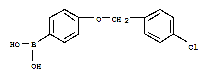 Structure of 4-(4-CHLOROBENZYLOXY)PHENYLBORONIC ACID