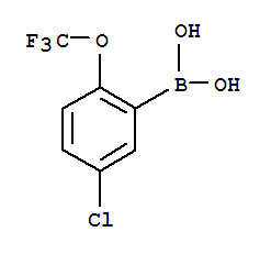 Structure of [5-CHLORO-2-(TRIFLUOROMETHOXY)PHENYL]BORONIC ACID