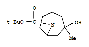 Structure of 3-Hydroxy-3-methyl-8-azabicyclo[3.2.1]octane-8-carboxylicacid tert-butyl ester