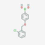 [4-[(2-chlorophenyl)methoxy]phenyl]boronic acid结构式