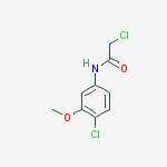 2-CHLORO-N-(4-CHLORO-3-METHOXYPHENYL)ACETAMIDE结构式