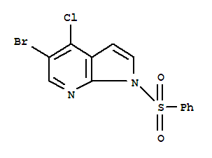 Structure of 1H-Pyrrolo[2,3-b]pyridine, 5-bromo-4-chloro-1-(phenylsulfonyl)-