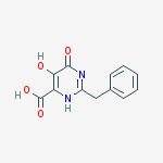 Structure of 2-BENZYL-5,6-DIHYDROXY-PYRIMIDINE-4-CARBOXYLIC ACID