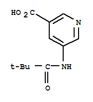 Structure of 5-(2,2-DIMETHYL-PROPIONYLAMINO)-NICOTINIC ACID