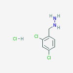 Structure of [(2,4-dichlorophenyl)methyl]hydrazine hydrochloride