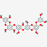 Structure of Dieckol