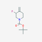 Structure of 3-Fluoro-4-methylene-1-piperidinecarboxylic acid tert-butyl ester