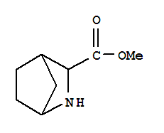 Structure of 2-Azabicyclo[2.2.1]heptane-3-carboxylicacid, methyl ester