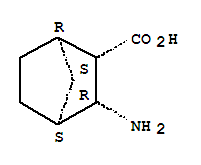 Structure of 3-EXO-AMINOBICYCLO[2.2.1]HEPTANE-2-EXO-CARBOXYLIC ACID