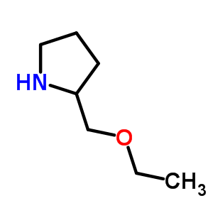 2-(ethoxymethyl)pyrrolidine结构式