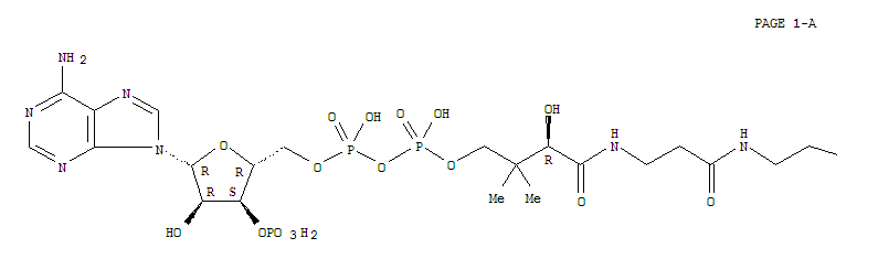 coenzyme A nervonyl derivative (C24:1)结构式