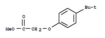 Structure of methyl 2-(4-tert-butylphenoxy)acetate