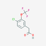 Structure of 4-CHLORO-3-(TRIFLUOROMETHOXY)PHENYLACETIC ACID