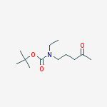 Structure of N-(T-BOC)-N-ETHYL-4-OXOPENTYLAMINE