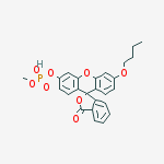 Structure of O-METHYL-O-(N-BUTYLFLUORESCEIN)PHOSPHATE