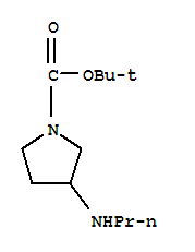 Structure of 3-PROPYLAMINO-PYRROLIDINE-1-CARBOXYLIC ACID TERT-BUTYL ESTER