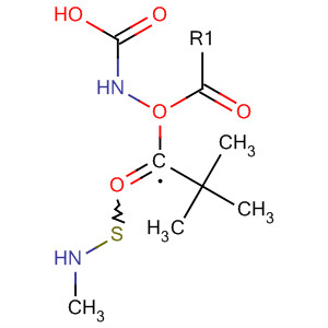 Structure of Carbamic acid, [(methylamino)thioxomethyl]-, 1,1-dimethylethyl ester