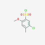 Structure of 5-CHLORO-2-METHOXY-4-METHYLBENZENESULFONYL CHLORIDE