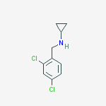 Structure of CYCLOPROPYL-(2,4-DICHLORO-BENZYL)-AMINE
