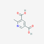 Structure of 2-Methylpyridine-3,5-dicarboxylic Acid