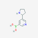 B-[5-(2-Pyrrolidinyl)-3-Pyridinyl]Boronic Acid结构式