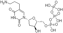 Structure of [(2R,3R,5R)-5-[5-(3-aminopropyl)-2,4-dioxo-pyrimidin-1-yl]-3-hydroxy-tetrahydrofuran-2-yl]methyl [hydroxy(phosphonooxy)phosphoryl] hydrogen phosphate