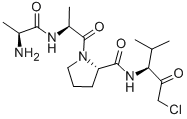 Structure of ALA-ALA-PRO-VAL-CHLOROMETHYLKETONE
