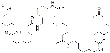 Structure of NYLON 6/10
