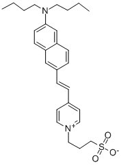 Structure of NEURODYE DI-4-ANEPPS