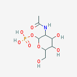 Structure of [3-acetylamino-4,5-dihydroxy-6-(hydroxymethyl)oxan-2-yl]oxyphosphonic acid