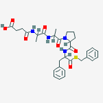 Structure of CARBOXYPEPTIDASE B