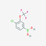 Chemical structure of BORONIC ACID, [4-CHLORO-3-(TRIFLUOROMETHOXY)PHENYL]-