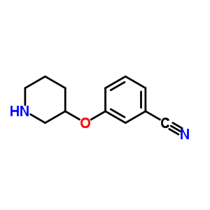 3-(哌啶-3-氧基)苯甲腈结构式