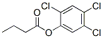 Structure of (2,4,5-trichlorophenyl) butanoate