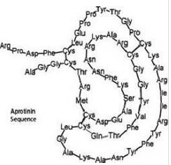 Cas Number: 9087-70-1