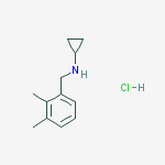 Structure of N-(2,3-dimethylbenzyl)cyclopropanamine hydrochloride