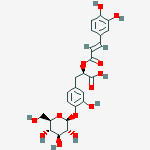 Structure of (2r)-2-[(e)-3-(3,4-dihydroxyphenyl)prop-2-enoyl]oxy-3-[3-hydroxy-4-[(2s,3r,4s,5s,6r)-3,4,5-trihydroxy-6-(hydroxymethyl)oxan-2-yl]oxyphenyl]propanoic Acid