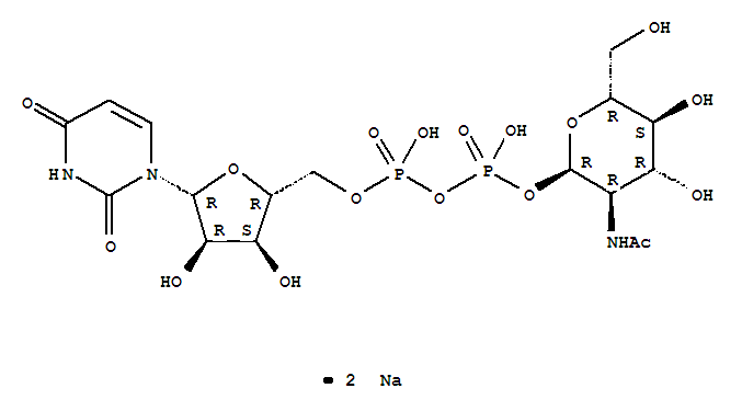 Structure of UDP-ALPHA-D-N-ACETYLGLUCOSAMINE, DISODIUM SALT