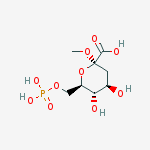 Structure of (2r,4r,5s,6r)-4,5-dihydroxy-2-methoxy-6-(phosphonooxymethyl)oxane-2-carboxylic Acid