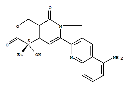 Structure of 9-Aminocamptothecin