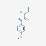 Structure of 2-CHLORO-N-(4-METHOXYPHENYL)BUTANAMIDE