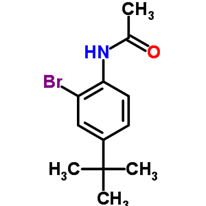 Structure of N-(2-BROMO-4-TERT-BUTYL-PHENYL)ACETAMIDE