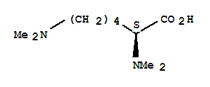 Structure of 2,2,6,6-tetramethyllysine