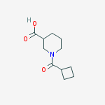 Structure of 1-(CYCLOBUTYLCARBONYL)-3-PIPERIDINECARBOXYLIC ACID