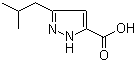 Structure of 3-Isobutyl-1H-pyrazole-5-carboxylic acid