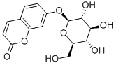 Structure of 7-HYDROXYCOUMARIN GLUCOSIDE