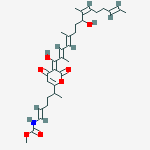 Structure of [5-[4-Hydroxy-3-(8-hydroxy-2,5,9-trimethyl-1-oxo-2,4,9,12-tetradecatetrenyl)-2-oxo-2H-pyran-6-yl]-1-hexenyl]carbamic acid methyl ester