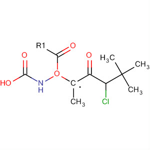 Carbamic acid, [(1S)-3-chloro-1-methyl-2-oxopropyl]-, 1,1-dimethylethylester结构式