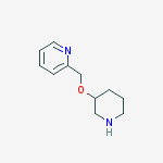 Structure of 2-((piperidin-3-yloxy)methyl)pyridine